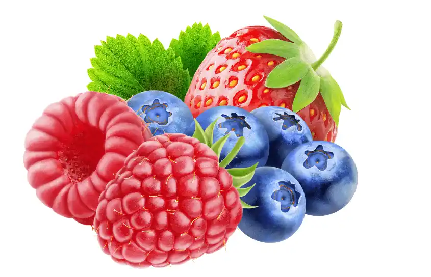 ilustración frutos rojos.