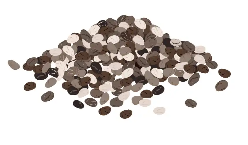 Ilustración de semillas de chía