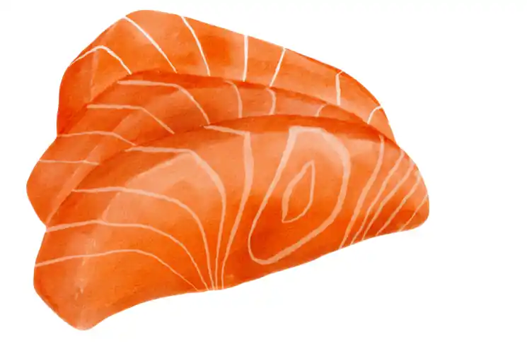 Ilustración de rodajas de salmón
