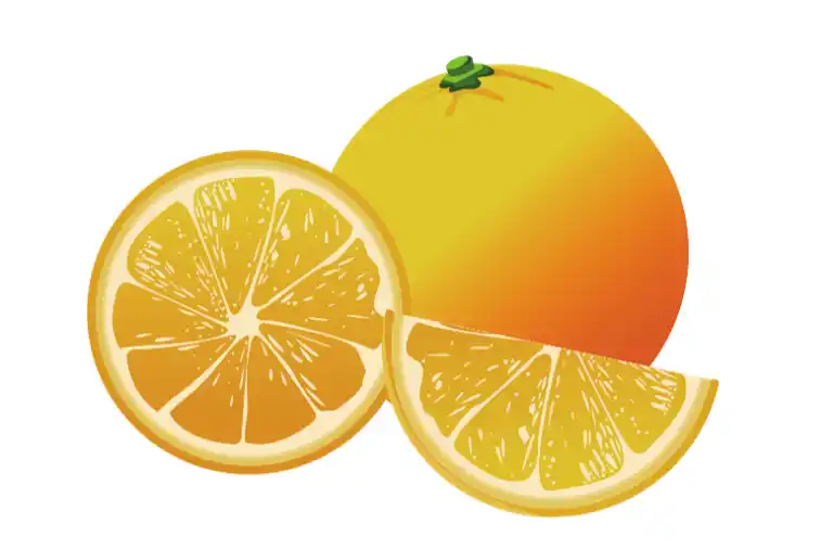 Ilustración de naranjas, una entera y abierta en gajos