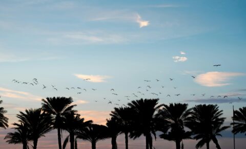 American Thoracic Society 2026